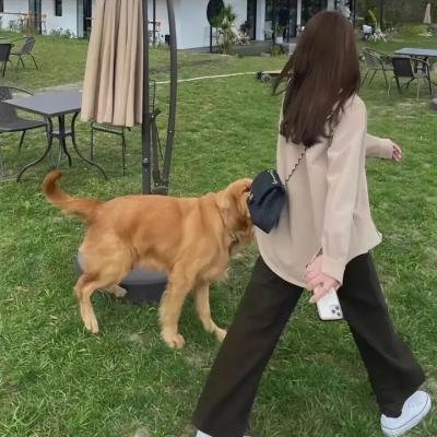 终极追杀令