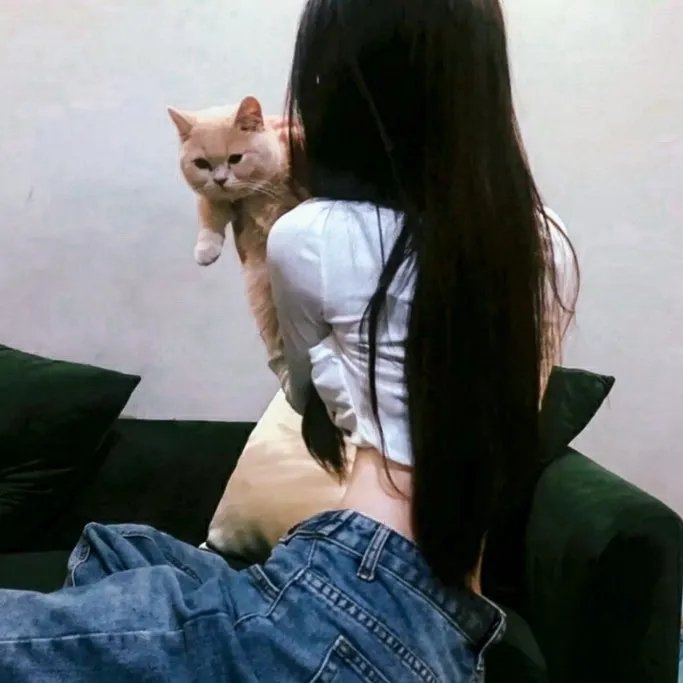你好布拉德